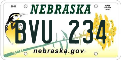 NE license plate BVU234