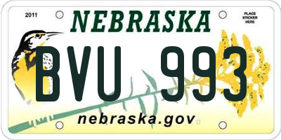 NE license plate BVU993