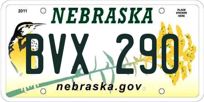 NE license plate BVX290