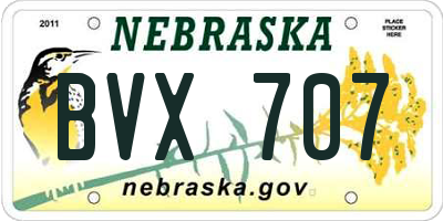 NE license plate BVX707