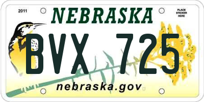 NE license plate BVX725