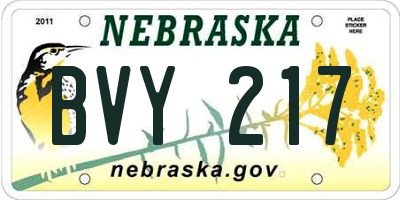 NE license plate BVY217