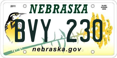 NE license plate BVY230