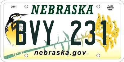 NE license plate BVY231