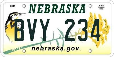 NE license plate BVY234