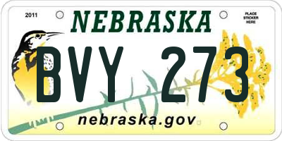 NE license plate BVY273