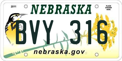NE license plate BVY316