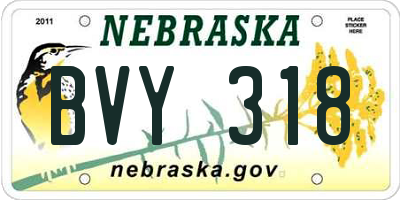 NE license plate BVY318