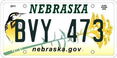 NE license plate BVY473