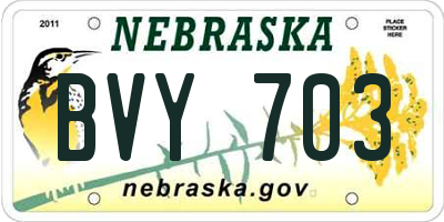 NE license plate BVY703