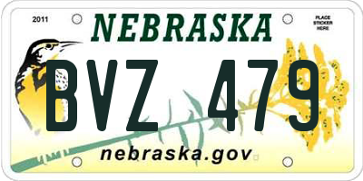 NE license plate BVZ479