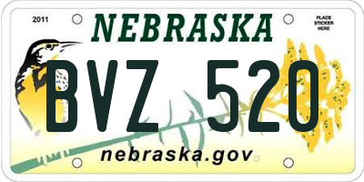 NE license plate BVZ520
