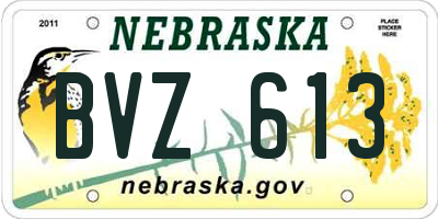 NE license plate BVZ613