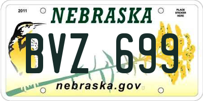 NE license plate BVZ699