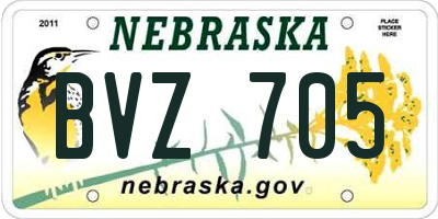 NE license plate BVZ705
