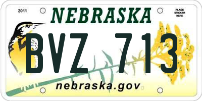 NE license plate BVZ713
