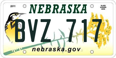 NE license plate BVZ717