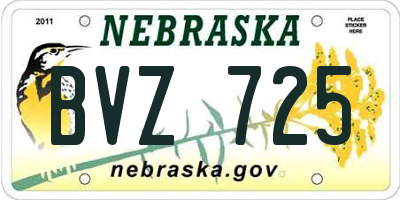 NE license plate BVZ725