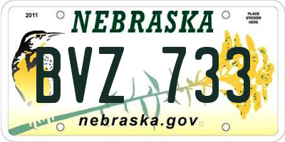 NE license plate BVZ733