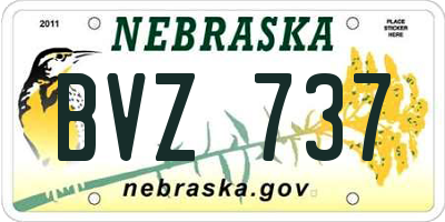 NE license plate BVZ737
