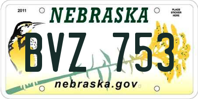 NE license plate BVZ753