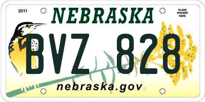 NE license plate BVZ828
