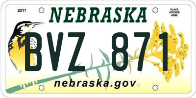 NE license plate BVZ871