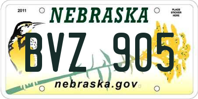 NE license plate BVZ905