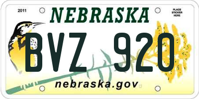 NE license plate BVZ920