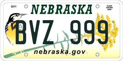 NE license plate BVZ999