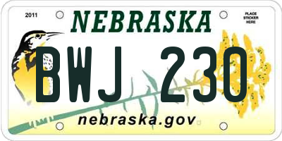 NE license plate BWJ230