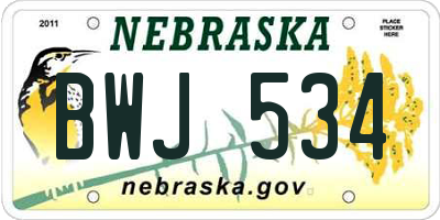 NE license plate BWJ534