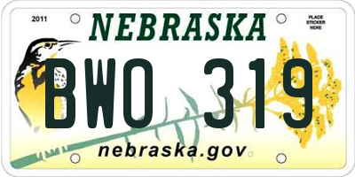 NE license plate BWO319