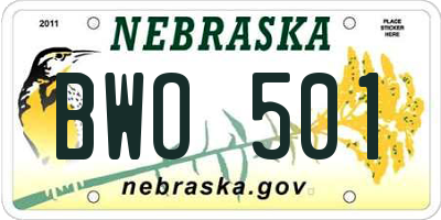NE license plate BWO501