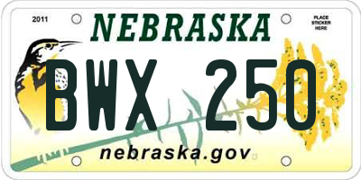 NE license plate BWX250
