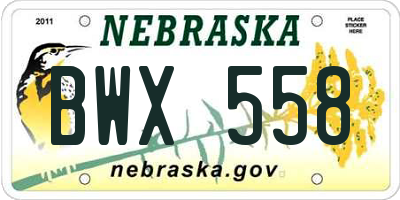 NE license plate BWX558
