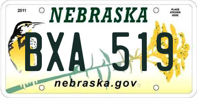 NE license plate BXA519