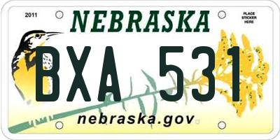 NE license plate BXA531
