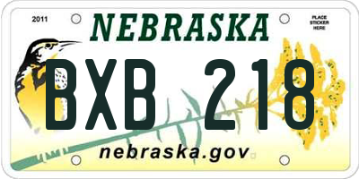 NE license plate BXB218