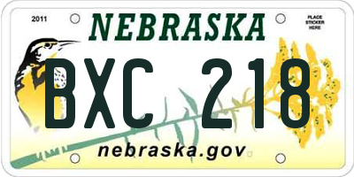 NE license plate BXC218