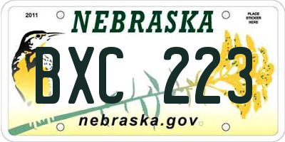 NE license plate BXC223