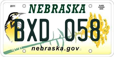 NE license plate BXD058
