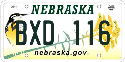 NE license plate BXD116