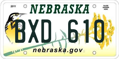 NE license plate BXD610