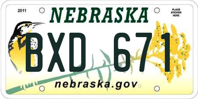 NE license plate BXD671