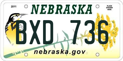 NE license plate BXD736