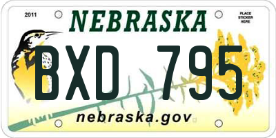 NE license plate BXD795