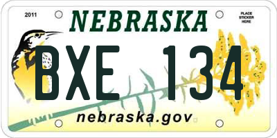 NE license plate BXE134