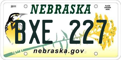 NE license plate BXE227