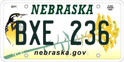 NE license plate BXE236